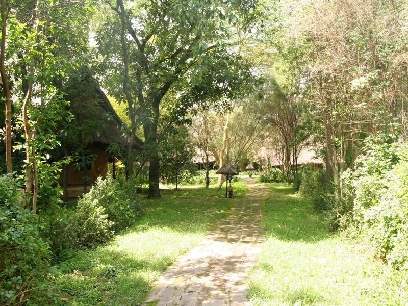 Je bekijkt nu Egret Savannah Camp Lake Nakuru