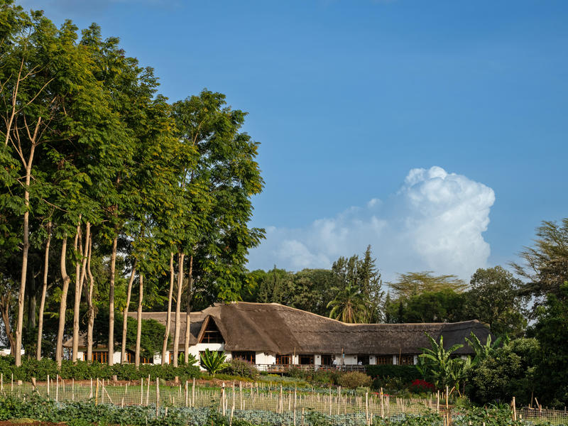 Je bekijkt nu Ngorongoro Farm House